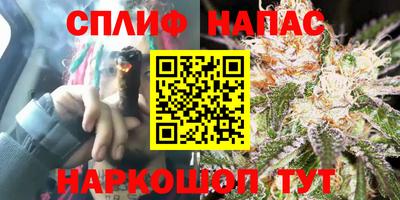 ECSTASY Кимры