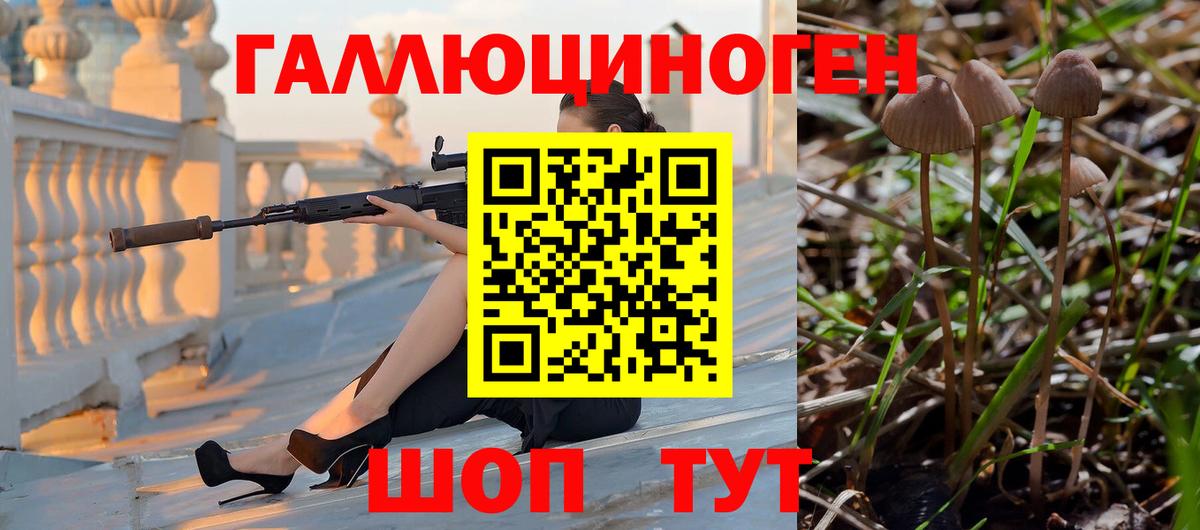 купить  цена  Вход с VPN  Биробиджан  Галлюциногенные грибы GOLDEN TEACHER 